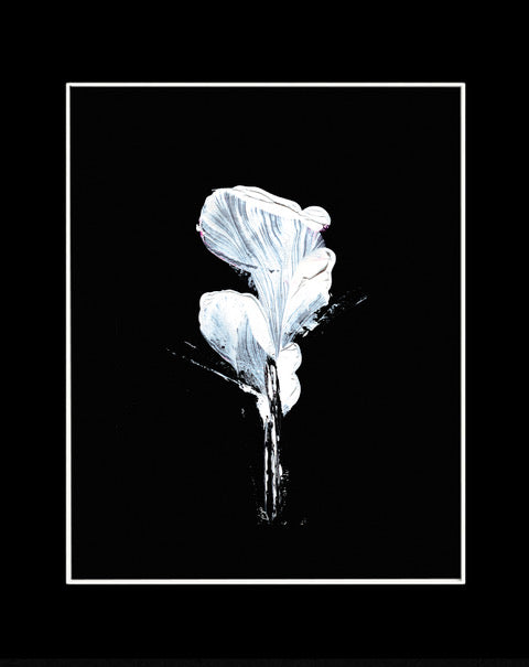 White Flower+Black Mount