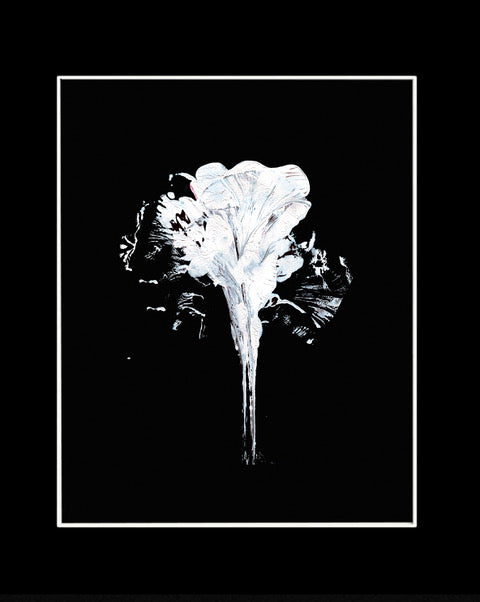 White Flower 2+ Black Mount