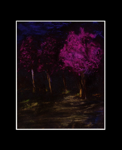 Midnight Walk