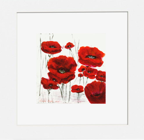 Red Poppies